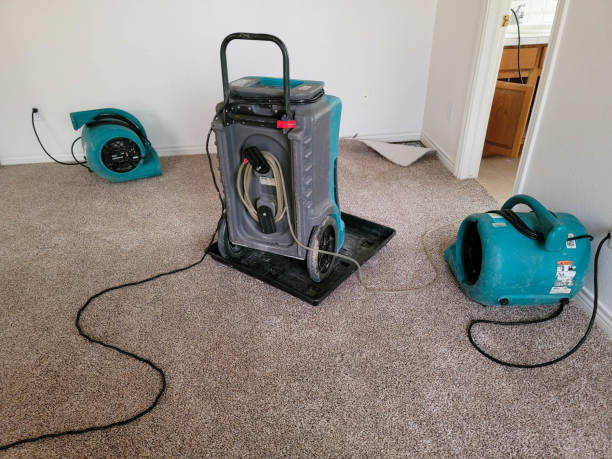 Best Flooded house restoration  in Kenova, WV